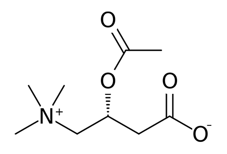ацетил л-карнитин